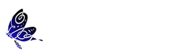 Wicklow Dementia Support Logo